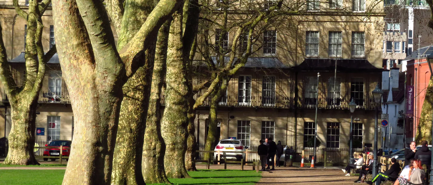 Plane trees in fresh leaf around the lawns of Queen Square in Bristol